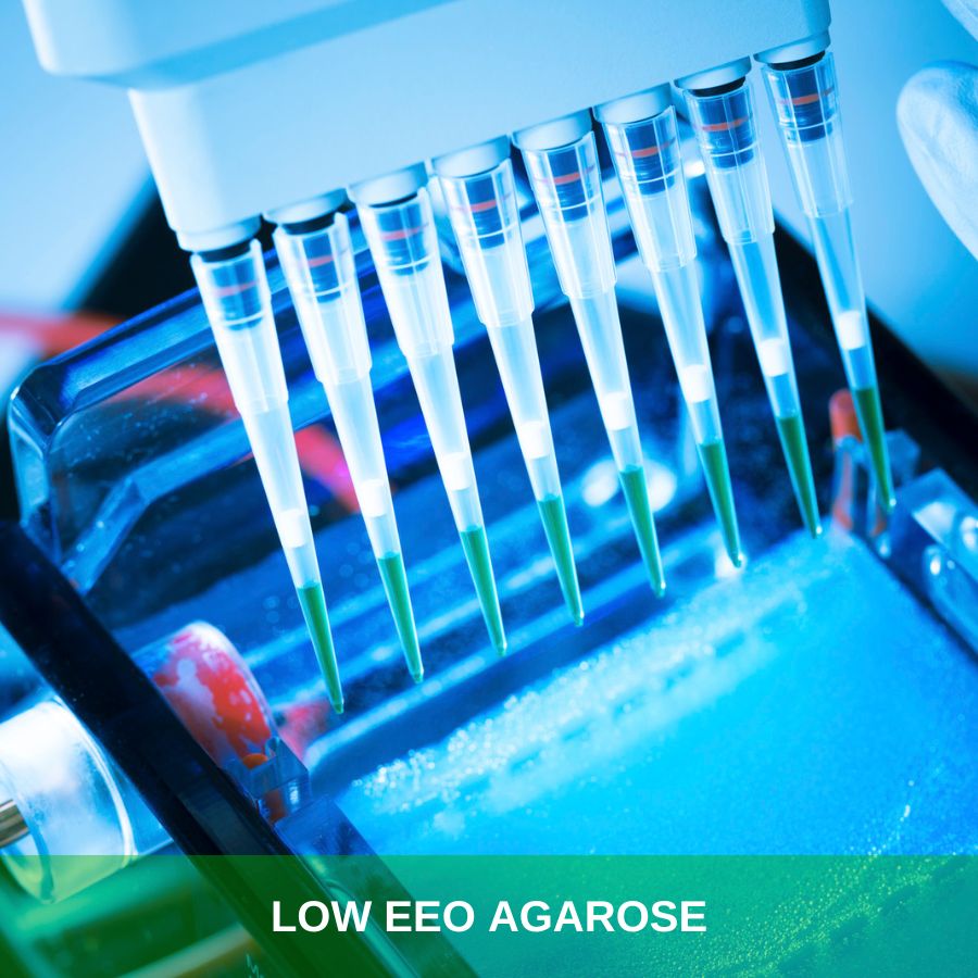 Low EEO Agarose