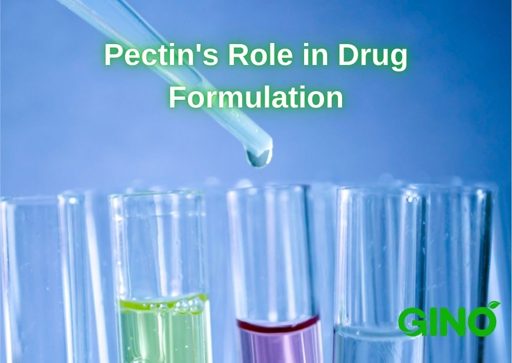 Pectin's Role in Drug Formulation