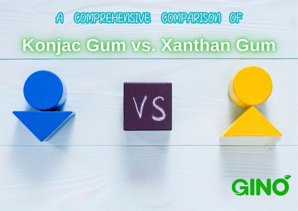 A Comprehensive Comparison of Konjac Gum vs Xanthan Gum