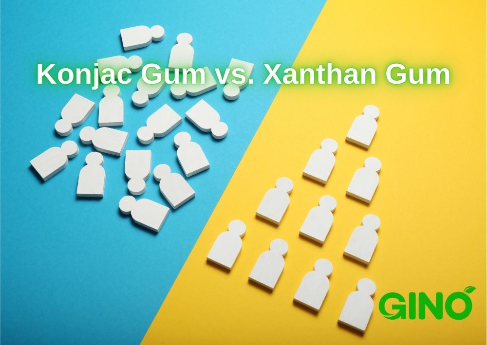 Konjac Gum vs Xanthan Gum