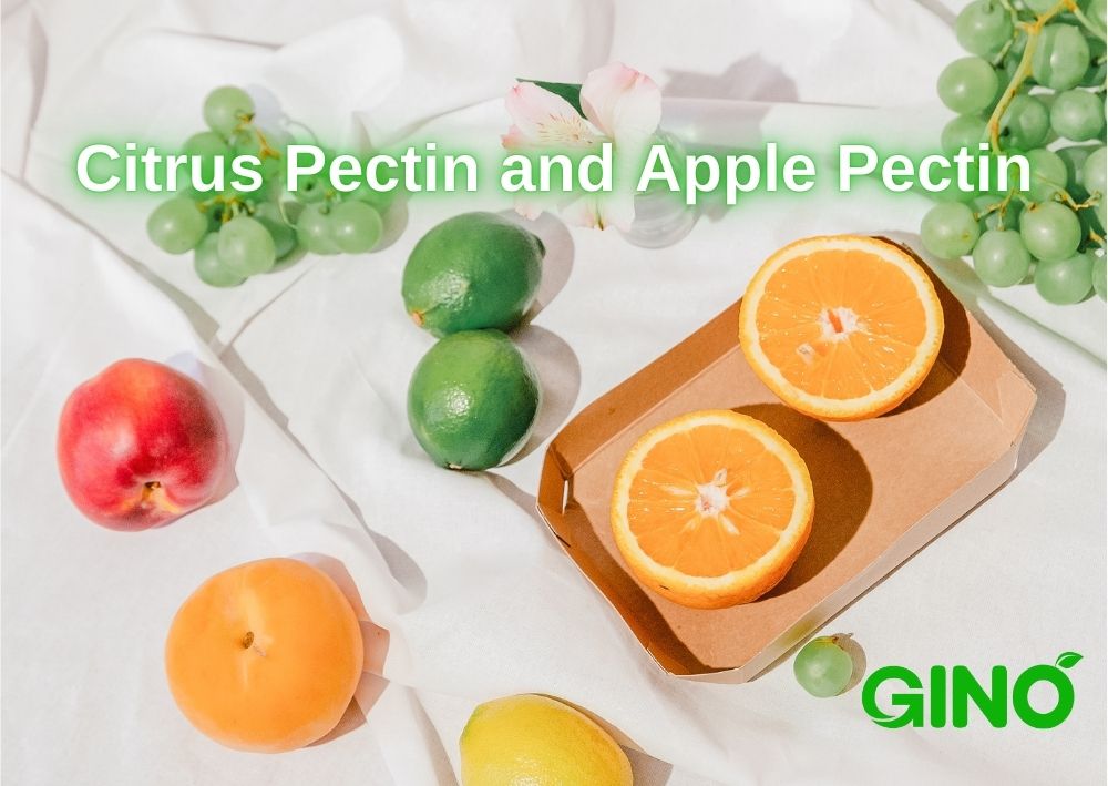 Citrus Pectin and Apple Pectin