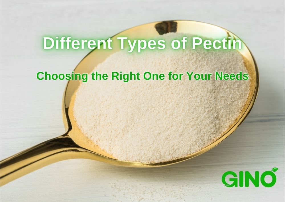 Different Types of Pectin_ Which One Is Best for Your Product (2)