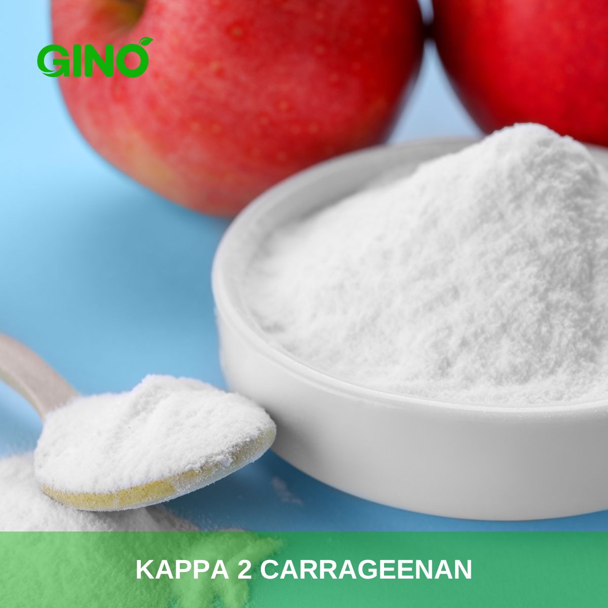 Kappa 2 Carrageenan_Gino Gums