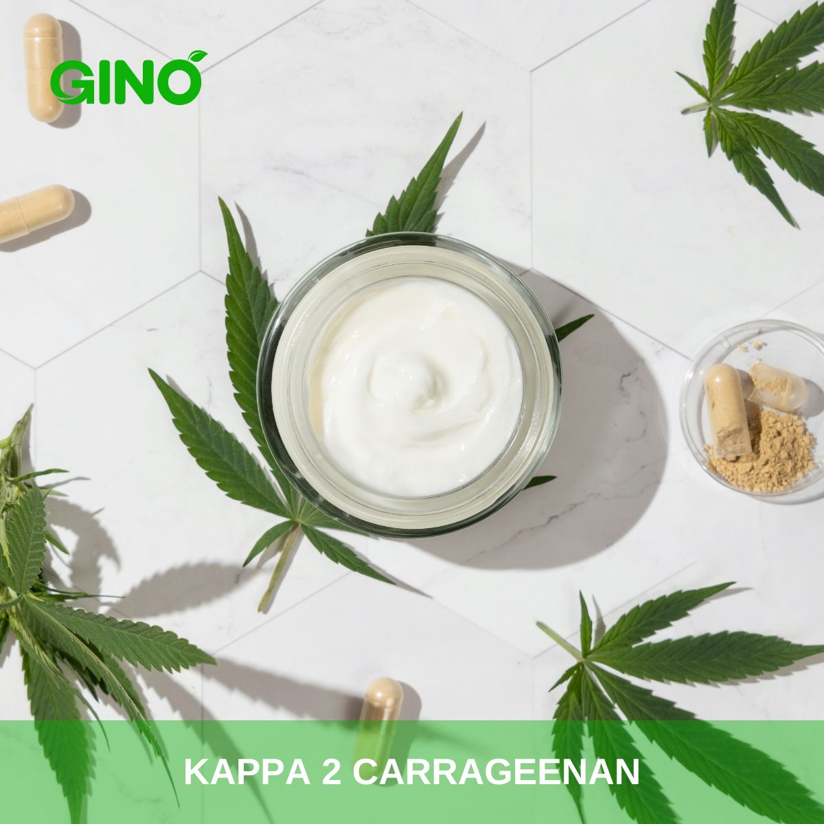 Kappa 2 Carrageenan_Gino Gums (2)