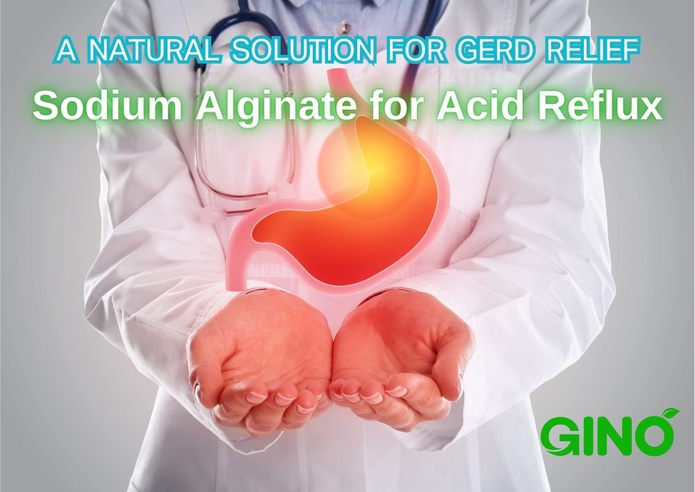 Sodium Alginate for Acid Reflux A Natural Solution for GERD Relief (2)