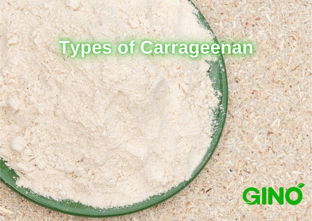 Types of Carrageenan_ A Deep Dive into Kappa, Iota, and Lambda Carrageenan (2)