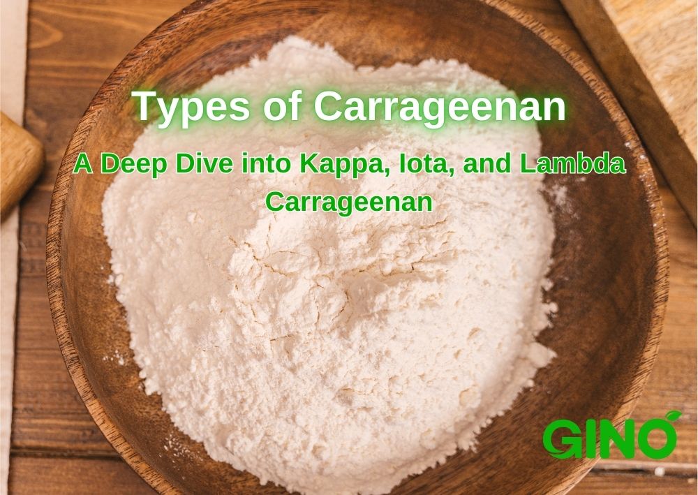 Types of Carrageenan_ A Deep Dive into Kappa, Iota, and Lambda Carrageenan