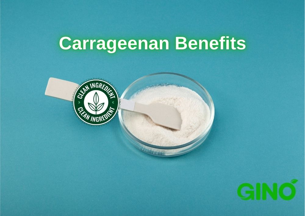 Carrageenan Benefits_ Why This Natural Ingredient is a Game-Changer (2)