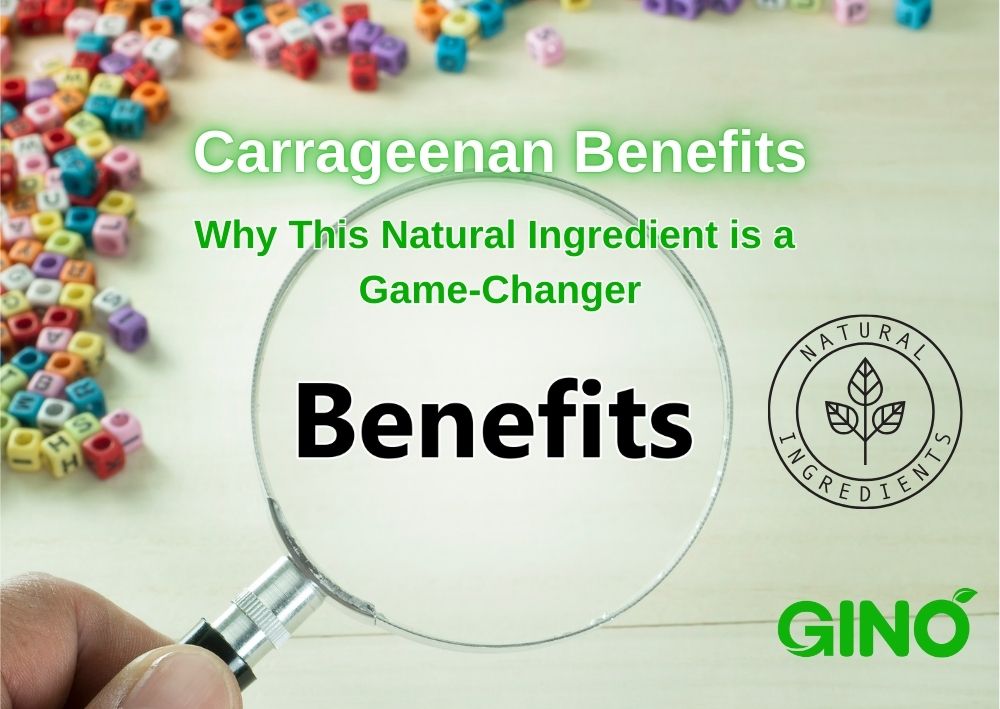 Carrageenan Benefits_ Why This Natural Ingredient is a Game-Changer