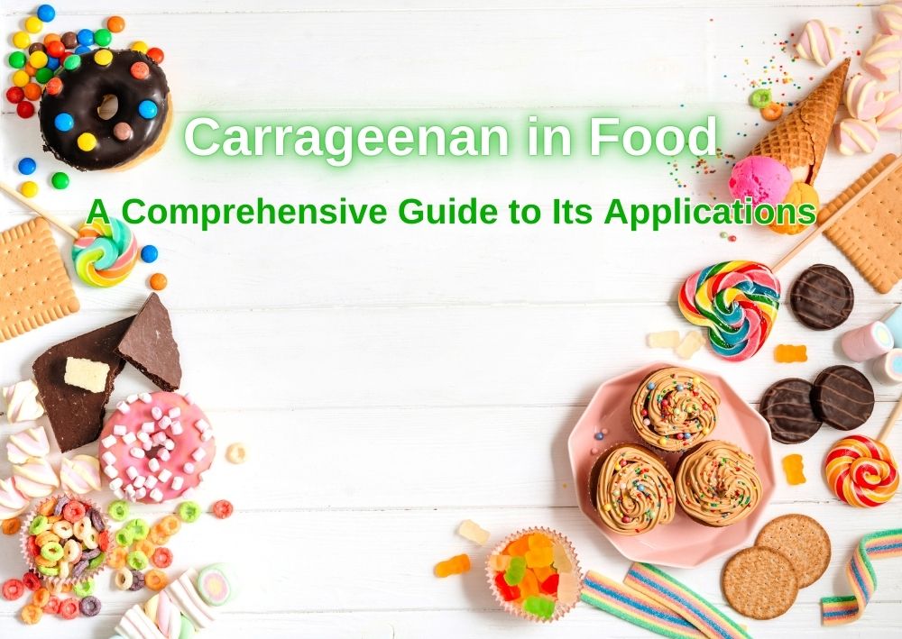 Carrageenan in Food_ A Comprehensive Guide to Its Applications in Modern Food Products (2)