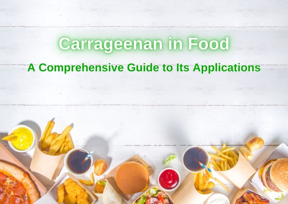 Carrageenan in Food_ A Comprehensive Guide to Its Applications in Modern Food Products