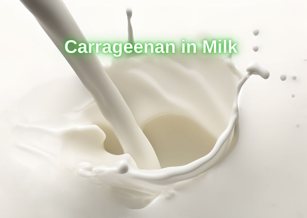 Carrageenan in Milk_ Enhancing Stability and Texture (2)