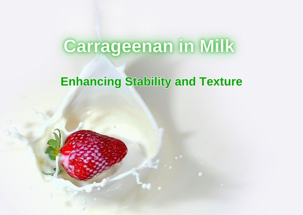 Carrageenan in Milk_ Enhancing Stability and Texture