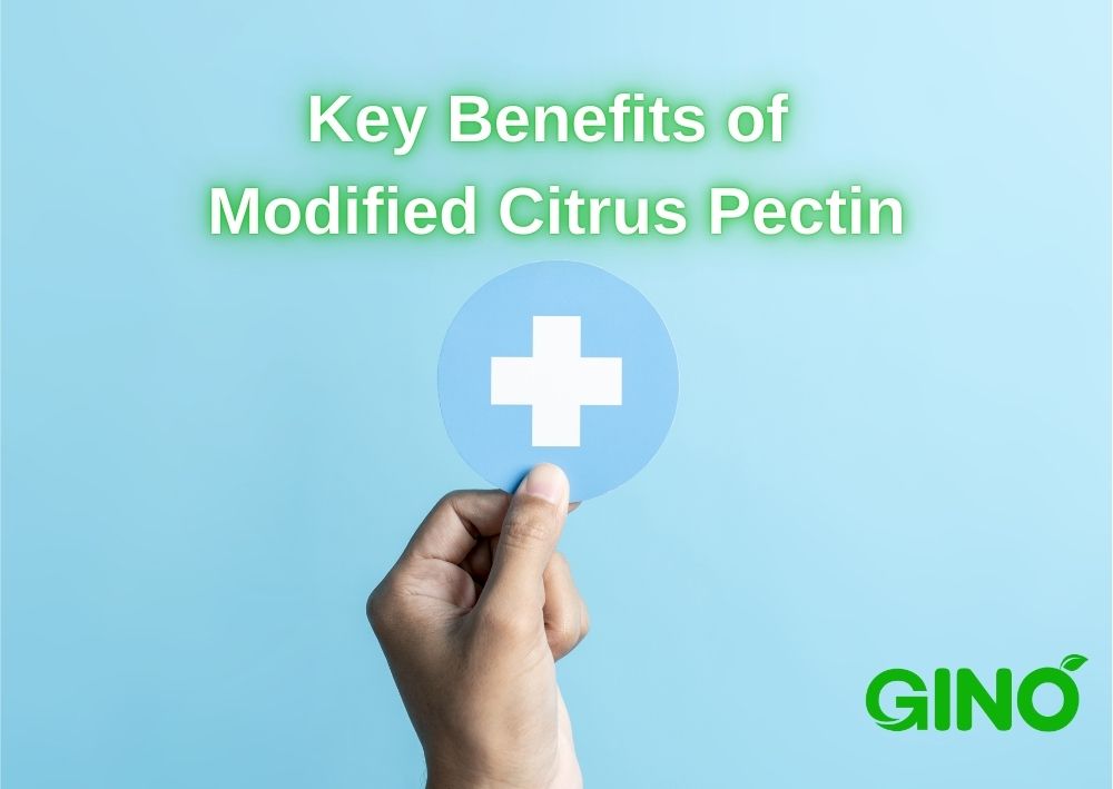 Key Benefits of Modified Citrus Pectin