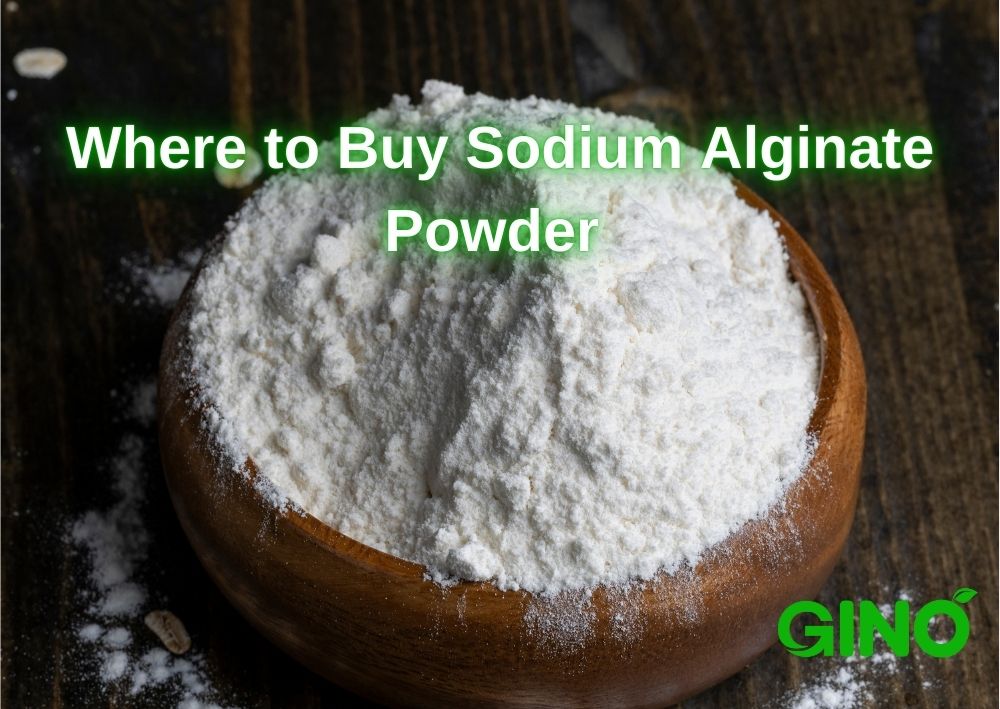 Where to Buy Sodium Alginate Powder