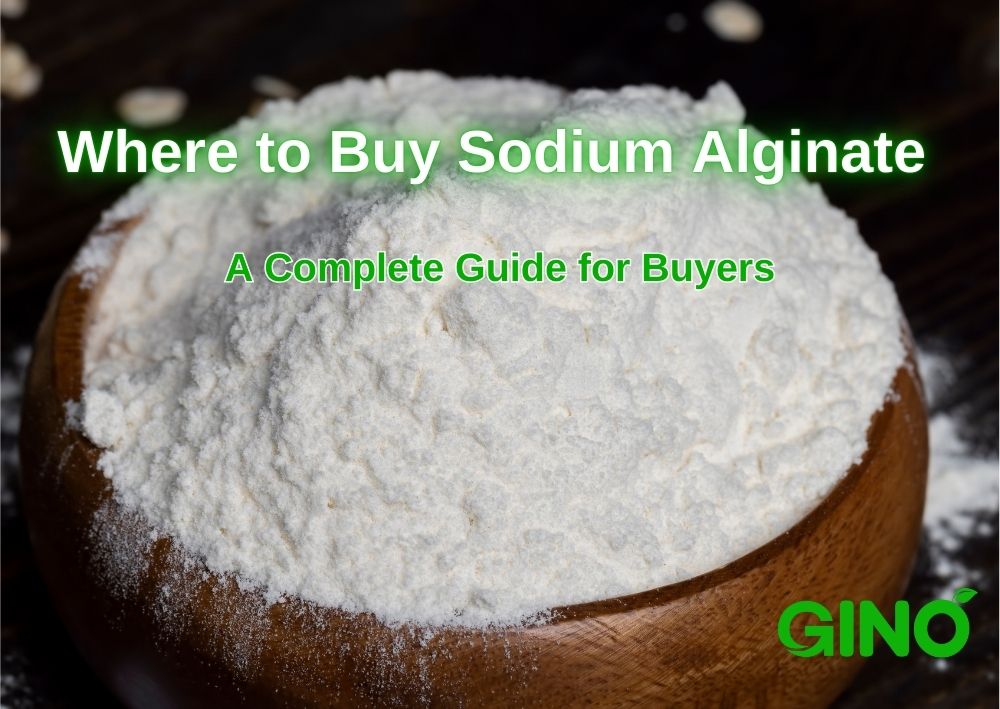 Where to Buy Sodium Alginate_ A Complete Guide for Buyers