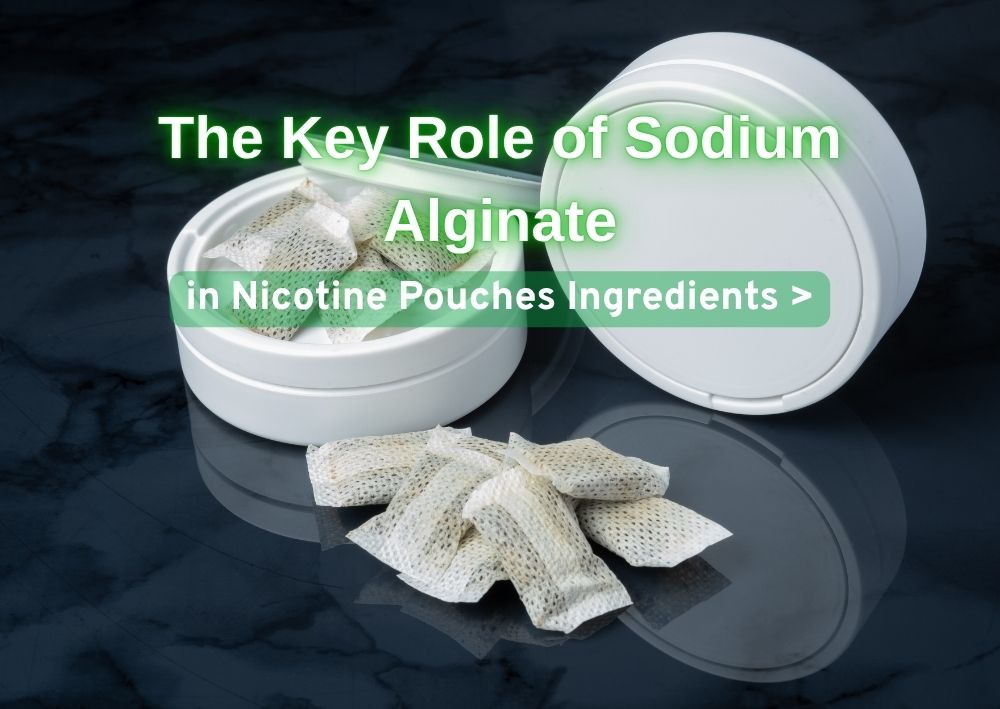 The Key Role of Sodium Alginate in Nicotine Pouches Ingredients (2)