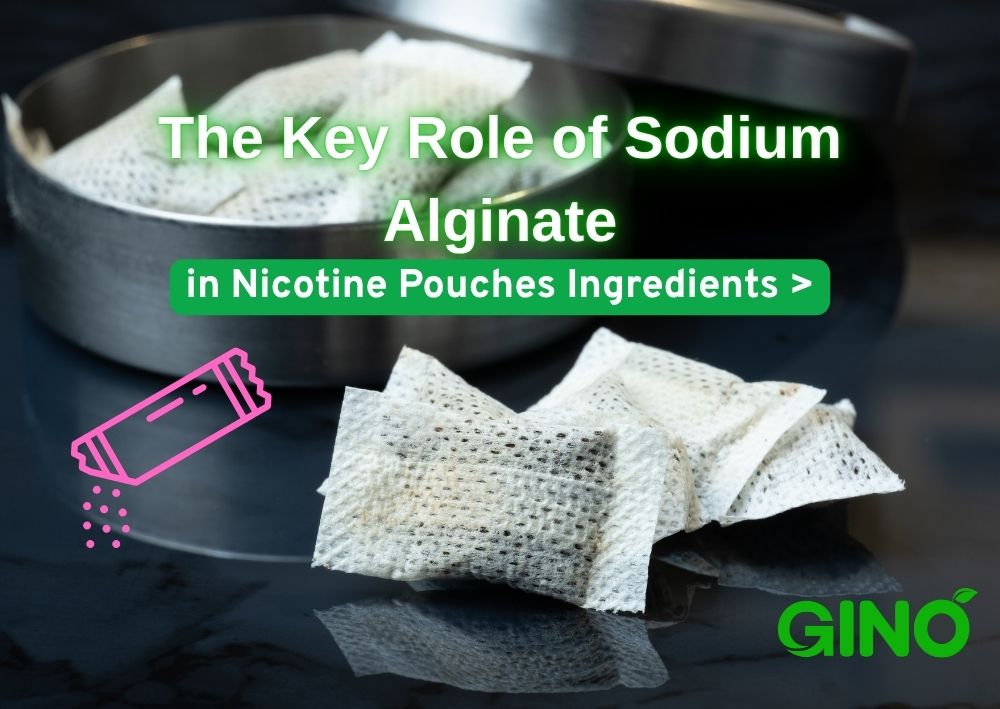The Key Role of Sodium Alginate in Nicotine Pouches Ingredients