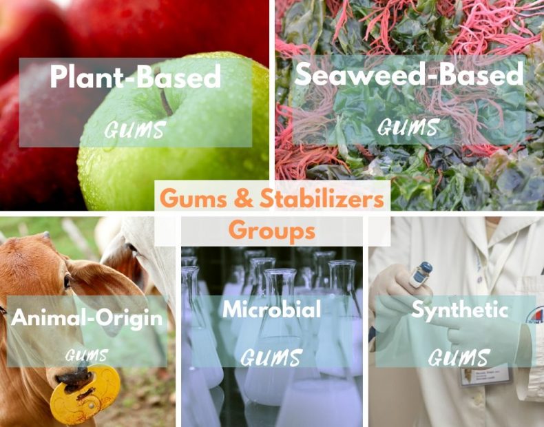 Gums Stabilizers groups: Plant-based gums, Animal-origin gums, seaweed-based gums, microbial gums, Synthetic gums_Food Hydrocolloids