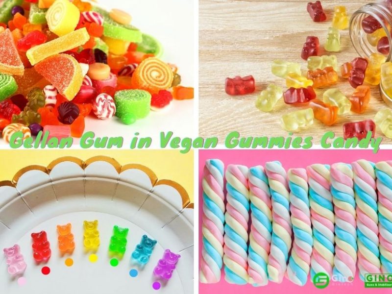 gellan gum in vegan gummies candy 874-620 (2)