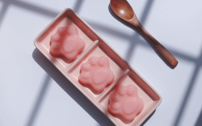 Home 20 carrageenan jelly pudding-Hydrocolloids Supplier Manufacturer in China